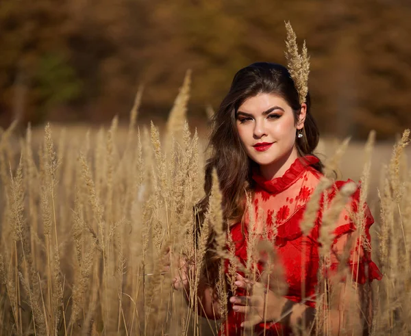 Женщина Красном Платье Лугу Дубового Леса Ноябрьский Портрет — стоковое фото