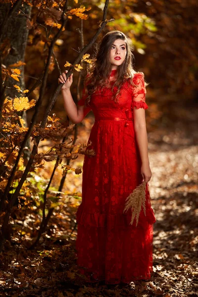 オークの森の中で赤いドレスを着た美しい若い女性の完全な長さの魅力的な肖像画 — ストック写真
