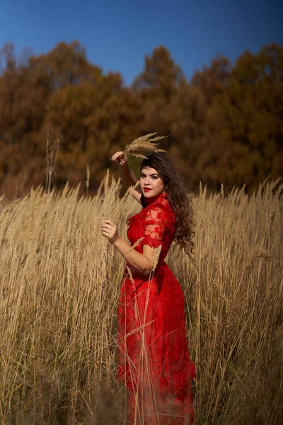 Frau Roten Kleid Auf Einer Wiese Eichenwald November Porträt — Stockfoto