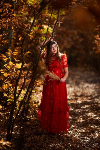Retrato Glamoroso Larga Duración Una Hermosa Joven Vestida Rojo Bosque — Foto de Stock