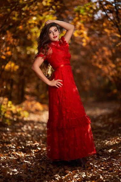 Повна Довжина Гламурний Портрет Красивої Молодої Жінки Червоній Сукні Дубовому — стокове фото
