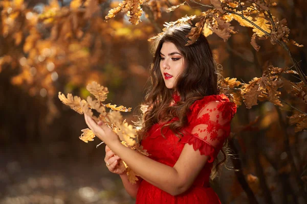橡木林中一位身穿红衣的年轻漂亮女子的动人画像 — 图库照片