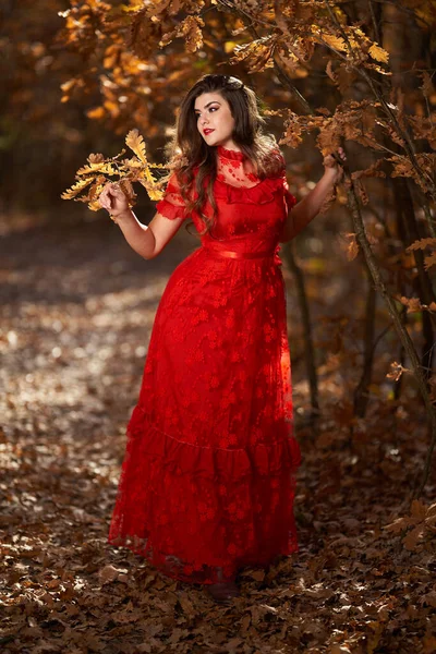 Ritratto Glamour Una Bella Giovane Donna Abito Rosso Nella Foresta — Foto Stock