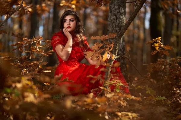 Full Length Glamorous Portrait Beautiful Young Woman Red Dress Oak — Stock Photo, Image