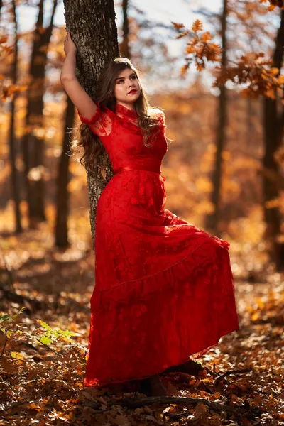 Полная Длина Гламурный Портрет Красивой Молодой Женщины Красном Платье Дубовом — стоковое фото