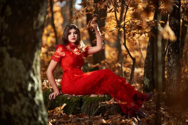 Retrato Glamouroso Comprimento Total Uma Bela Jovem Vestido Vermelho Floresta — Fotografia de Stock