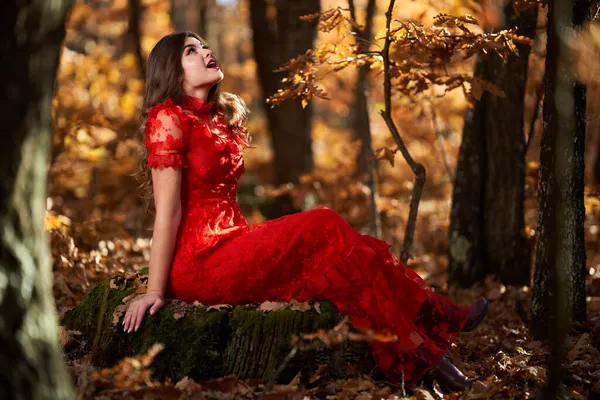 Retrato Glamoroso Larga Duración Una Hermosa Joven Vestida Rojo Bosque — Foto de Stock