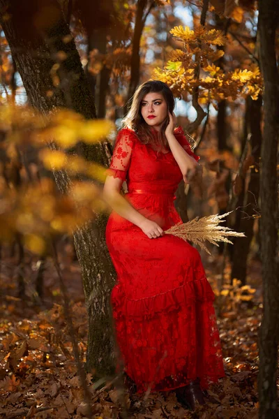 Full Length Glamorous Portrait Beautiful Young Woman Red Dress Oak — Stock Photo, Image