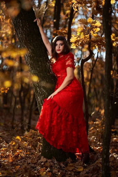 Retrato Glamouroso Comprimento Total Uma Bela Jovem Vestido Vermelho Floresta — Fotografia de Stock