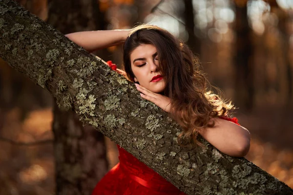 Close Uma Jovem Mulher Vestido Vermelho Floresta Carvalho — Fotografia de Stock