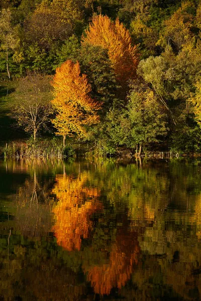 Herfst Het Meer Met Kleurrijk Bos Reflecterend Het Water Bij Stockfoto