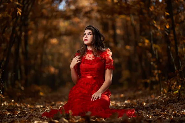 オークの森の中で赤いドレスを着た美しい若い女性の完全な長さの魅力的な肖像画 ストック画像