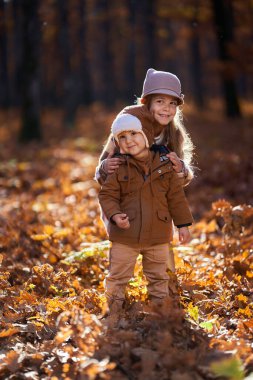 Genç kız ve erkek kardeşi sonbaharda renkli meşe ormanlarında harika vakit geçiriyorlar.