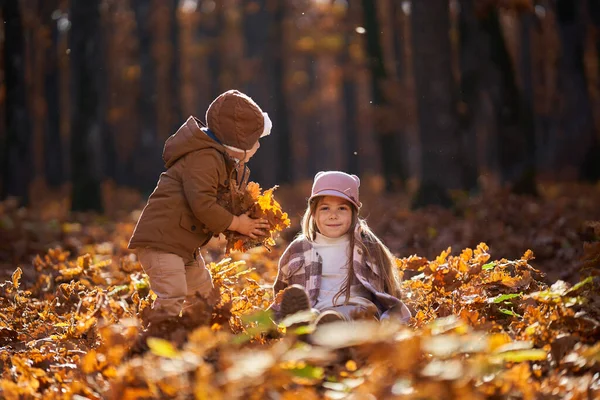 若い女の子と彼女の弟持っています素晴らしい時間屋外でカラフルなオークの森で秋 — ストック写真