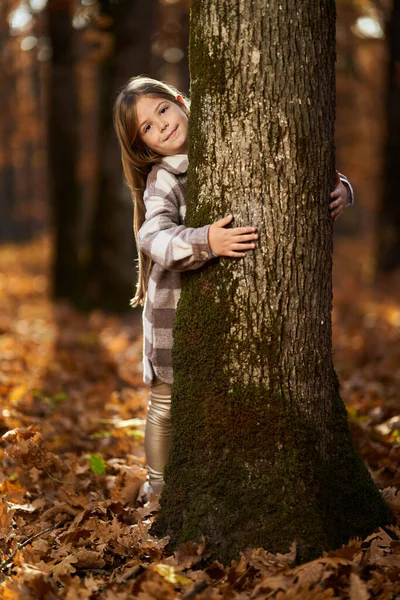 カラフルなオークの森の中で11月下旬に若い女の子の候補肖像画 — ストック写真