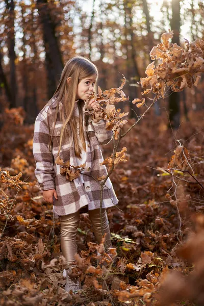 Candid Portrait Young Girl Late November Colorful Oak Forest — Stock Photo, Image