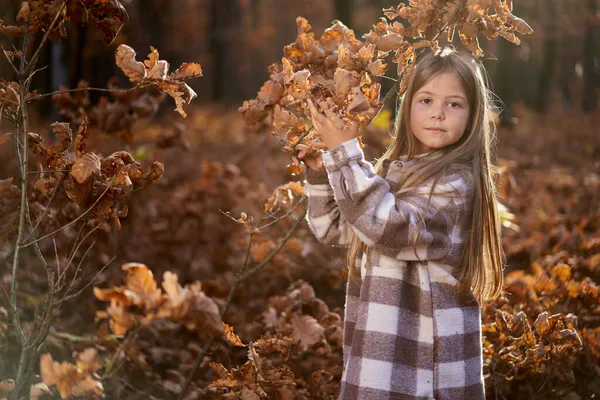 Ritratto Candido Una Giovane Ragazza Fine Novembre Nella Colorata Foresta — Foto Stock