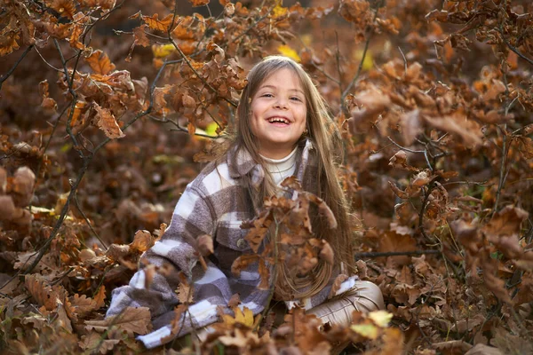 Открытый Портрет Молодой Девушки Конце Ноября Красочном Дубовом Лесу — стоковое фото