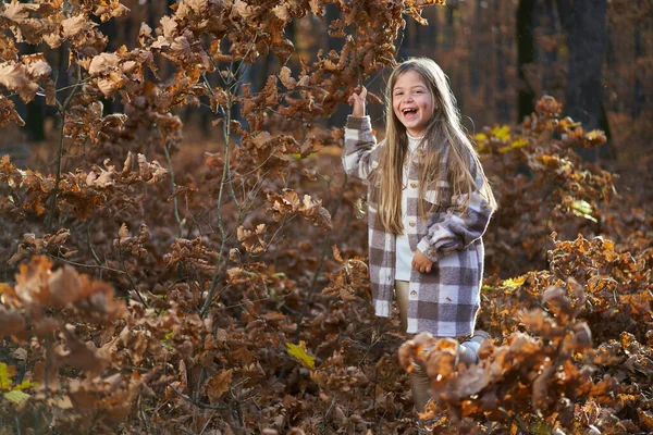 Freimütiges Porträt Eines Jungen Mädchens Ende November Bunten Eichenwald — Stockfoto