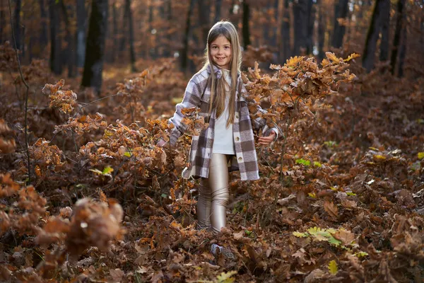 十一月下旬在五彩斑斓的橡木森林里的一个小女孩的肖像 图库图片