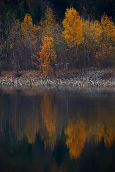 Herbst See Mit Bunten Wäldern Die Sich Bei Sonnenuntergang Wasser — Stockfoto