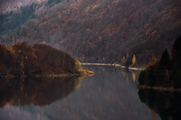 Podzim Jezeře Pestrobarevným Lesem Odrážejícím Vodě Při Západu Slunce — Stock fotografie
