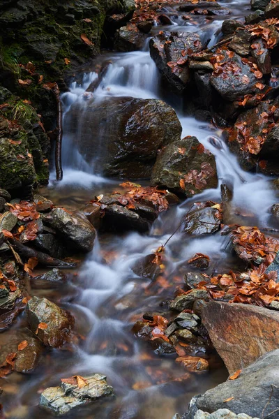 Río Que Fluye Rápidamente Través Una Alfombra Rocas Hojas Caídas — Foto de Stock