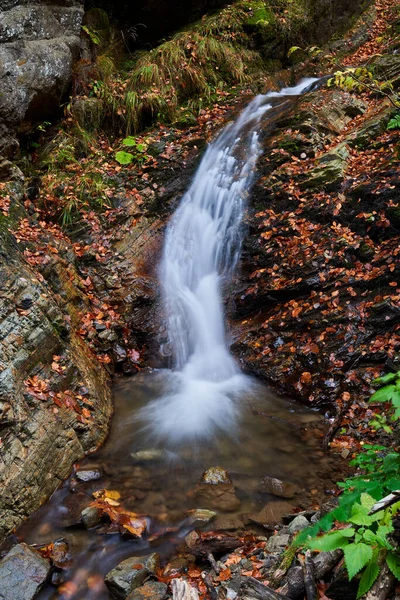 River Flowing Rapidly Carpet Rocks Colorful Fallen Leaves Autumn — Stock Photo, Image