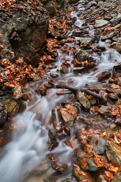 Ποταμός Ρέει Γρήγορα Μέσα Από Ένα Χαλί Από Πέτρες Και — Φωτογραφία Αρχείου