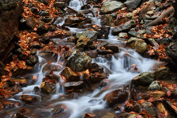 Floden Flyter Snabbt Genom Matta Stenar Och Färgglada Fallna Blad — Stockfoto