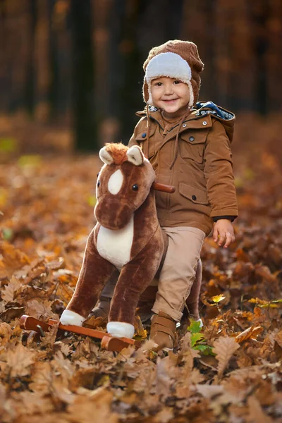 秋のカラフルな森の中の小さな男の子 — ストック写真