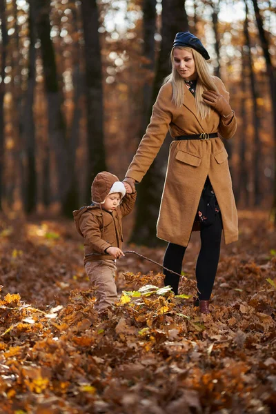 若い母親と彼女の幼児の息子は森の中で楽しい時間を過ごして 秋の時間 — ストック写真