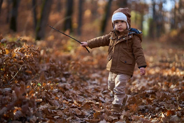 Menino Floresta Colorida Durante Outono — Fotografia de Stock