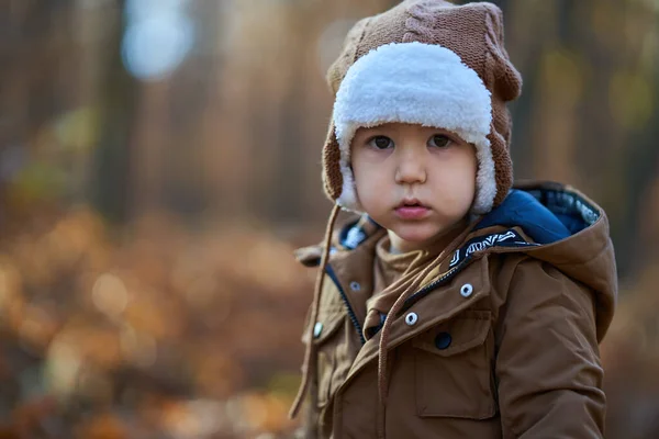 Kleine Jongen Het Kleurrijke Bos Tijdens Herfst — Stockfoto