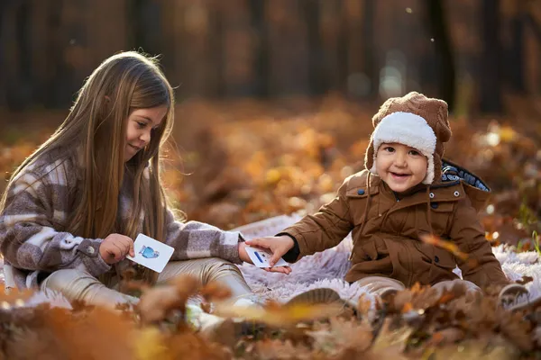 Niña Hermanito Jugando Las Cartas Una Manta Vibrante Bosque Robles —  Fotos de Stock