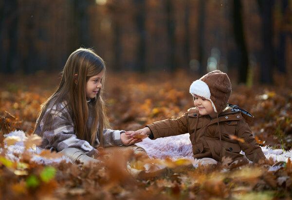 Маленькая девочка и ее младший брат играют в карты на одеяле в живом дубовом лесу осенью