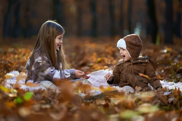 Niña Hermanito Jugando Las Cartas Una Manta Vibrante Bosque Robles —  Fotos de Stock