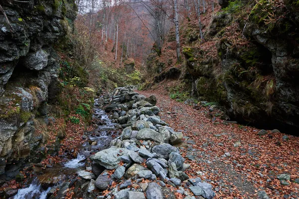 Wandelpad Met Gevallen Bladeren Bergen — Stockfoto