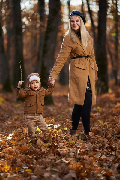 Młoda Matka Jej Synek Bawią Się Lesie Czas Jesienny Zdjęcia Stockowe bez tantiem