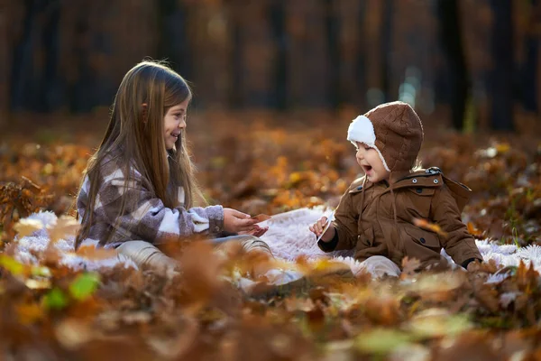 Kleines Mädchen Und Ihr Kleiner Bruder Spielen Herbst Karten Auf lizenzfreie Stockbilder