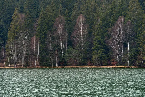 Svatá Anna Jediné Sopečné Jezero Rumunsku Vytvořené Kaldře Vyhynulé Sopky — Stock fotografie