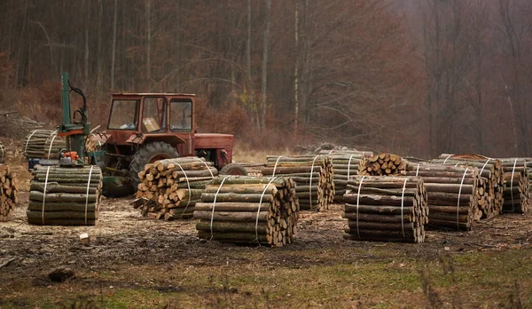 Stacks Lumber Waiting Loaded Deforestation — Stock Photo, Image