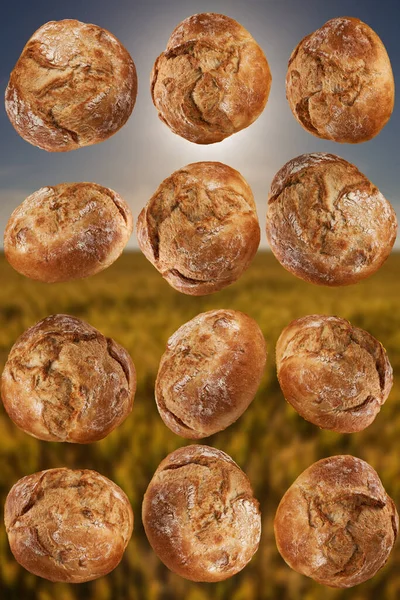 Volkoren Broodbroodbroodjes Gerangschikt Rijen Lijnen — Stockfoto