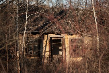 Ormanda, tiritleşmenin görüntüsünü yıkık ev