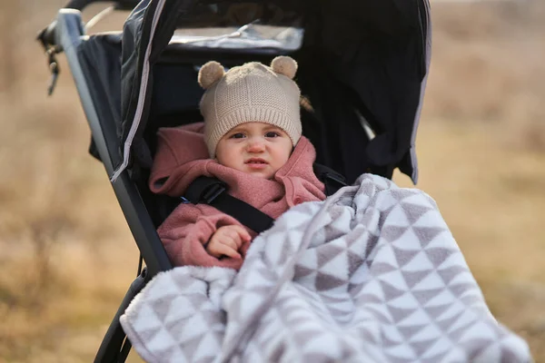Menina Uma Carruagem Bebê Livre Parque — Fotografia de Stock