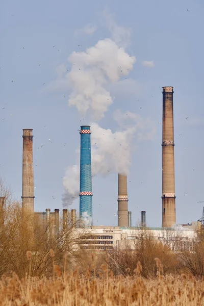 Industrial Pollution Concept Funnels Thick White Smoke Rising Atmosphere — Stock Photo, Image