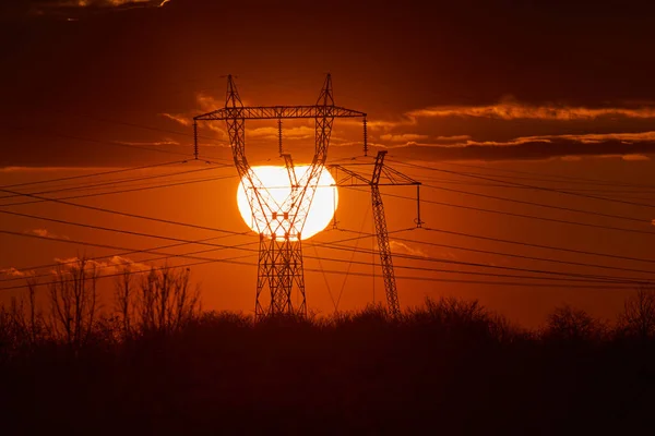 Солнце Садится Среди Высоких Башен Электричества Леса — стоковое фото