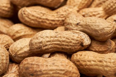 Bir sürü kurutulmuş fıstık yakın plan.