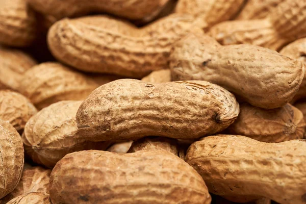 Bir sürü kurutulmuş fıstık yakın plan.