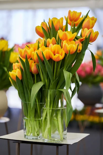 Closeup Various Tulip Flowers Floral Arrangements Park — Stock Photo, Image